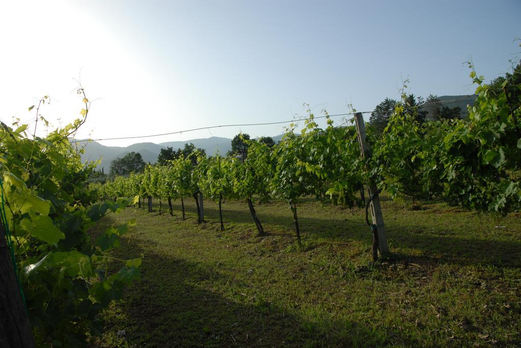 Tenuta Torellone San Potito Sannitico Exterior foto